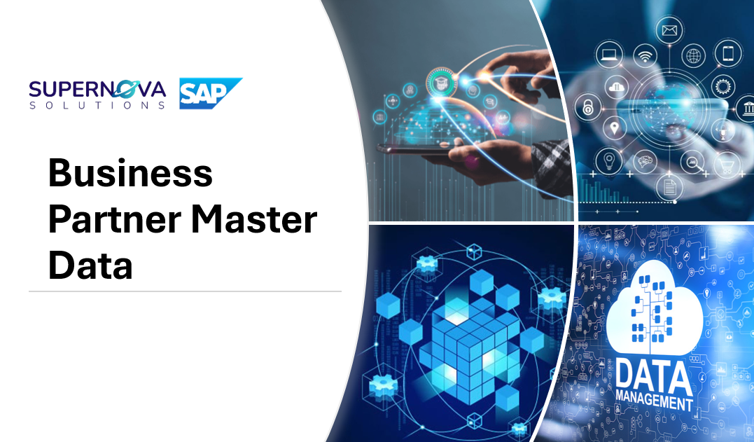 Business Partner Master Data ER-005